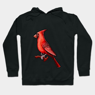 Red Cardinal bird cute cardinal Hoodie